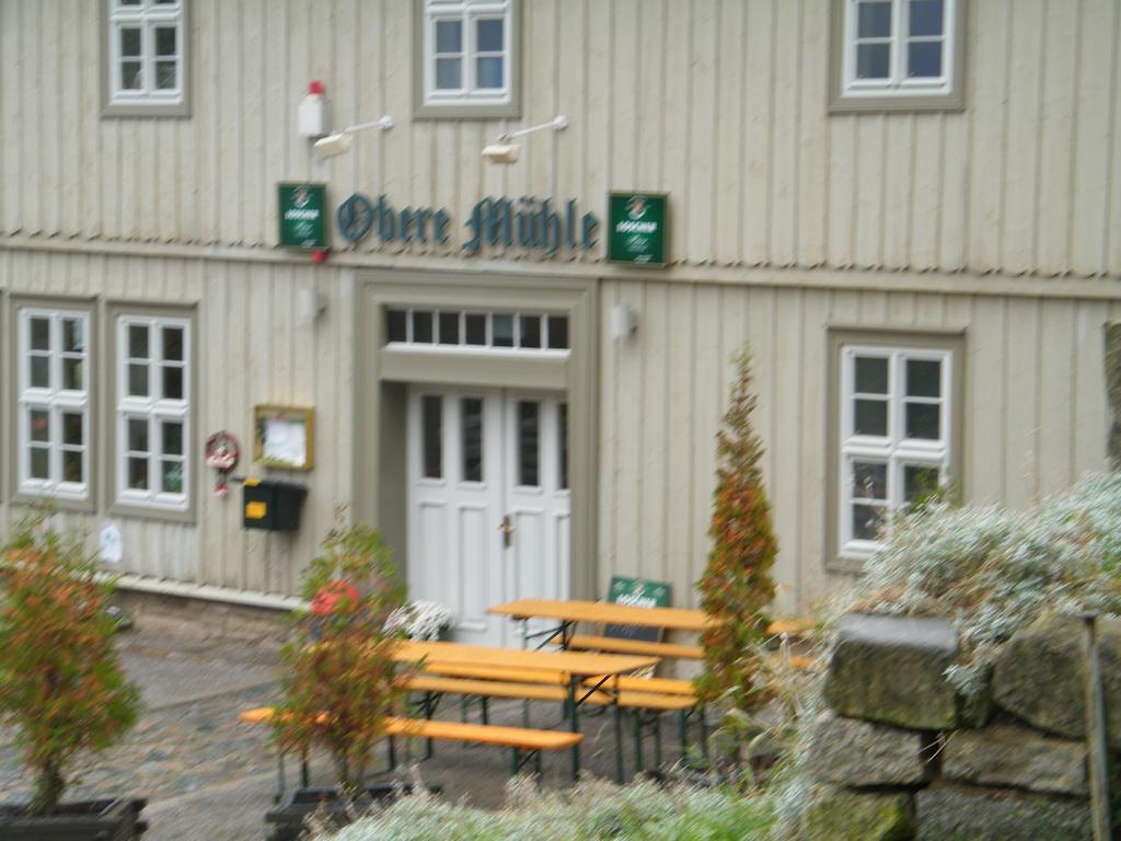 Obere Muehle Hotel Cattenstedt Ngoại thất bức ảnh